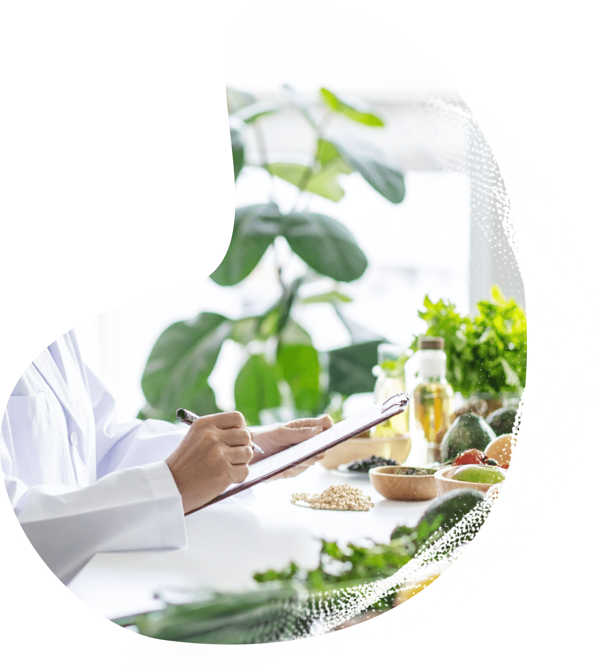 総合栄養学が目指すもの